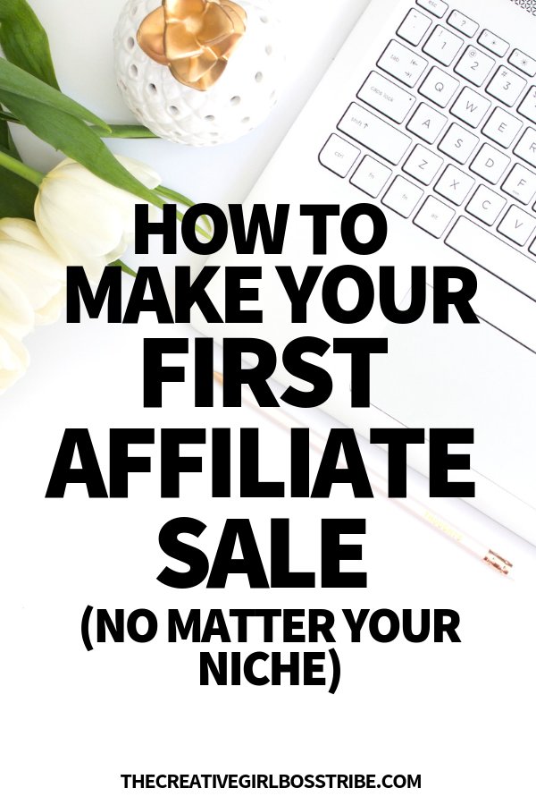 The Affiliate Marketing For Beginners Course I Took
