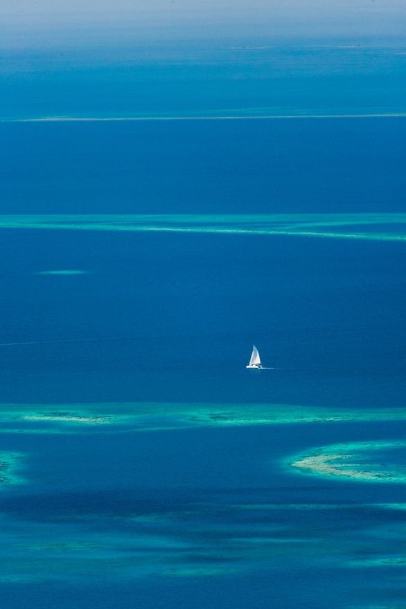 Sailboat Navigating The Waters Of Southern Belize, With Lighthawk, Belize
