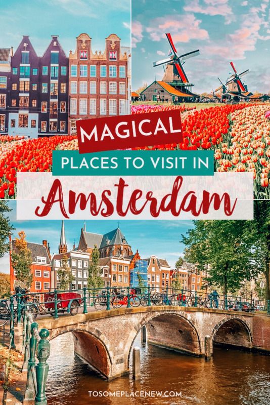Perfect 2 Days In Amsterdam Itinerary